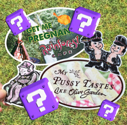 Mystery Sticker Pack (5 stickers)
