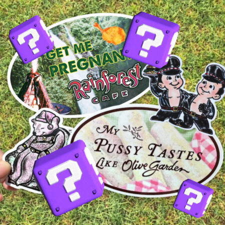 Mystery Sticker Pack (5 stickers)